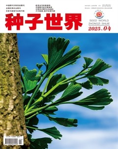 种子世界