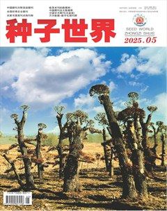 种子世界