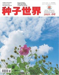 種子世界