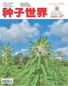 种子世界