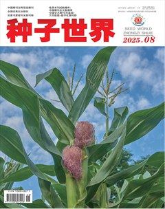種子世界