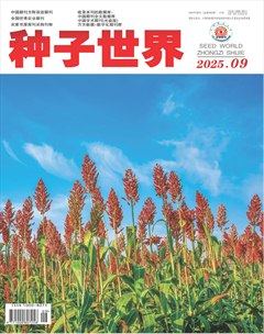 种子世界