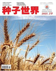 种子世界