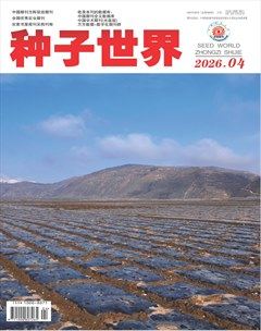 种子世界