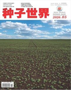 种子世界