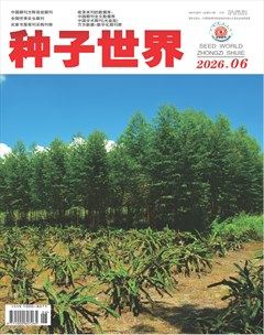 种子世界