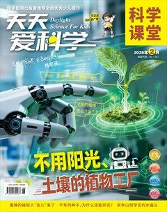 天天爱科学·科学课堂