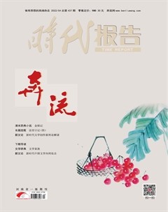 时代报告·奔流
