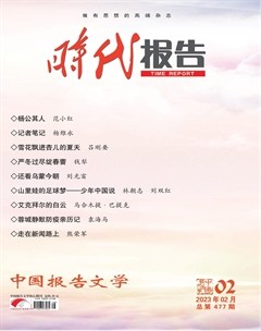 时代报告·奔流
