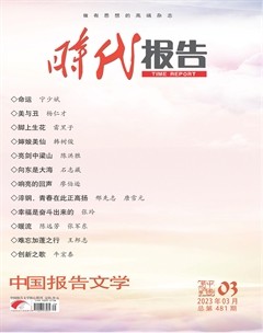 时代报告·奔流