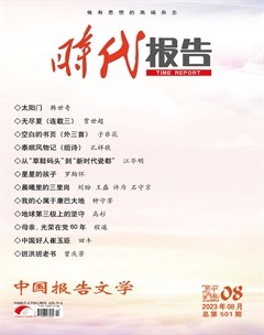 时代报告·奔流