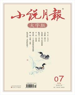 小说月报·大字版
