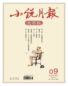 小说月报·大字版