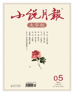 小说月报·大字版
