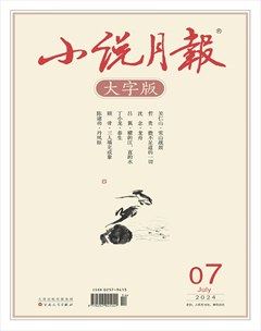 小说月报·大字版