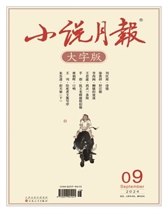 小说月报·大字版