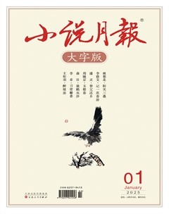 小說(shuō)月報(bào)·大字版