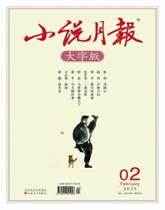 小說月報·大字版