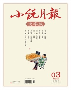 小说月报·大字版
