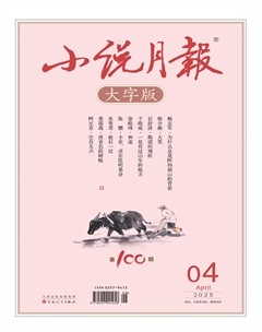 小说月报·大字版