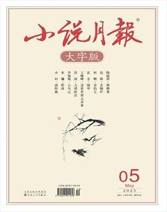 小說(shuō)月報(bào)·大字版