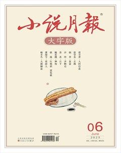 小说月报·大字版