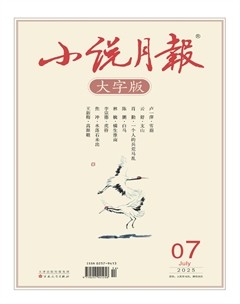 小说月报·大字版