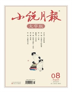 小说月报·大字版