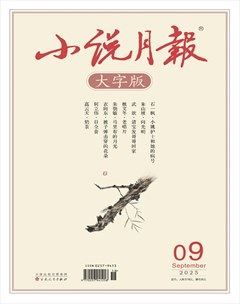 小说月报·大字版