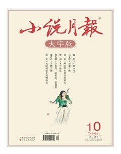 小说月报·大字版