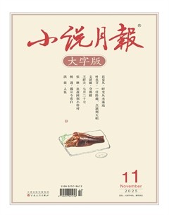 小说月报·大字版