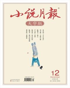 小说月报·大字版