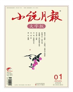 小说月报·大字版