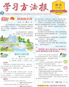 学习方法报·小学语文二年级