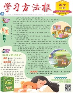 学习方法报·小学语文二年级