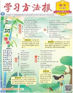 学习方法报·小学语文二年级