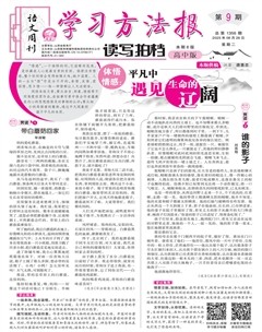 学习方法报·读写拍档高中版