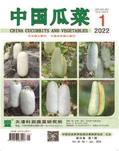 中国瓜菜