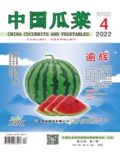 中国瓜菜