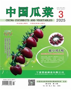 中国瓜菜