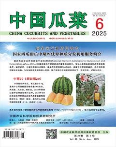 中国瓜菜