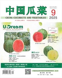 中国瓜菜