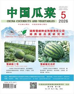 中国瓜菜