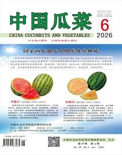 中国瓜菜