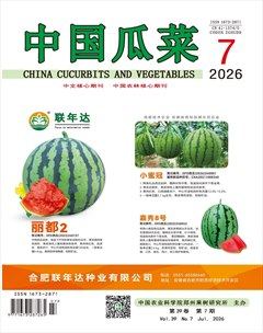 中国瓜菜
