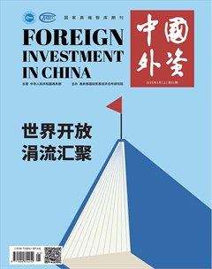 中国外资