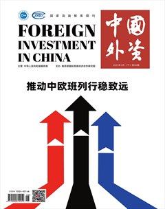 中國(guó)外資