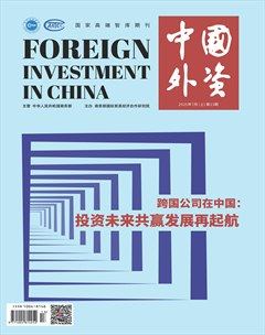 中國外資