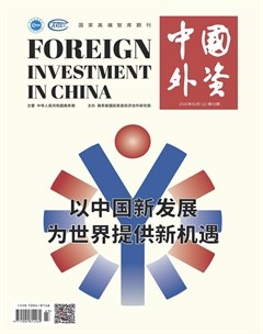 中国外资