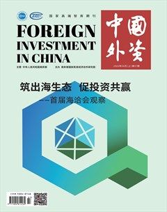 中国外资